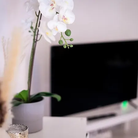 Modernes Ruhige Mit Blick Ins Gruene * Kottenheim