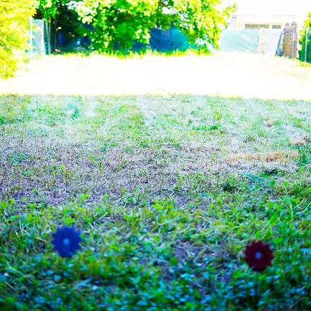 Modernes Ruhige Mit Blick Ins Gruene