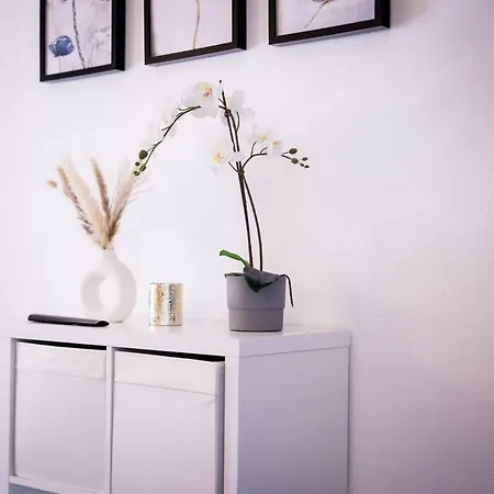 Apartment Modernes Ruhige Mit Blick Ins Gruene