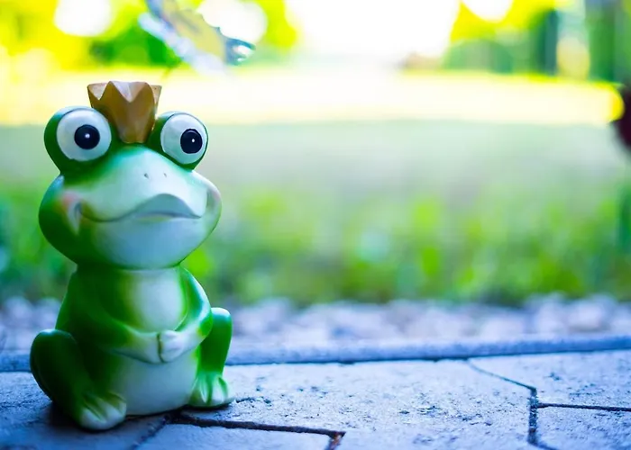 Appartement Modernes Ruhige Mit Blick Ins Gruene *