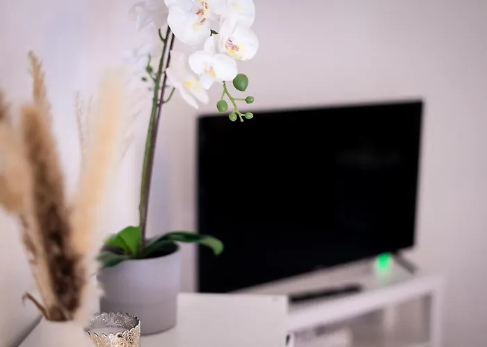 Modernes Ruhige Mit Blick Ins Gruene * Kottenheim