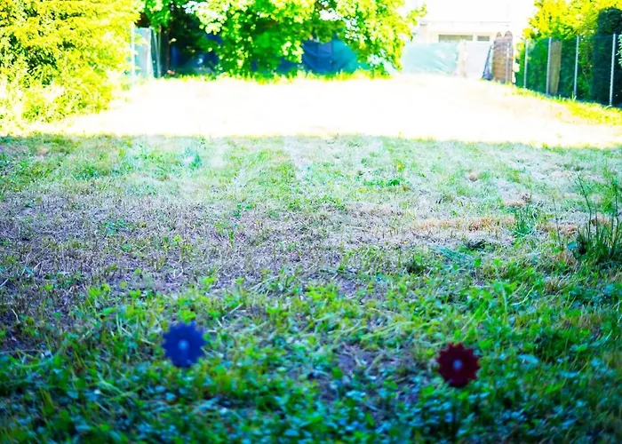 Modernes Ruhige Mit Blick Ins Gruene