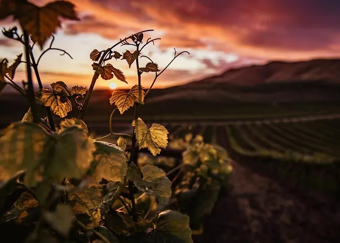 Modernes Ruhige Mit Blick Ins Gruene Appartement