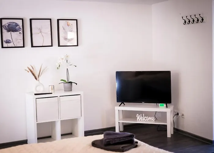 Modernes Ruhige Mit Blick Ins Gruene Appartement