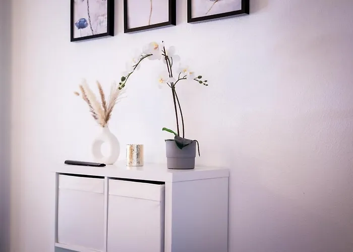 Appartement Modernes Ruhige Mit Blick Ins Gruene